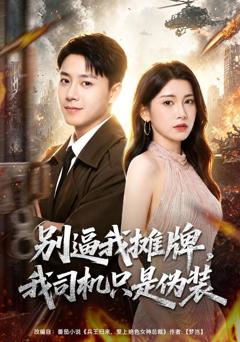 《别逼我摊牌，我司机只是伪装》