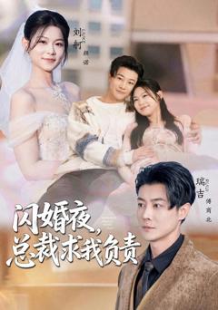 《闪婚夜，总裁求我负责》