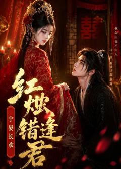 《红烛错逢君，宁宴长欢》