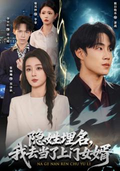 隐姓埋名，我去当了上门女婿