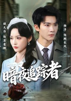 暗夜追踪者